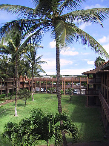 Foto Hotelanlage auf Maui