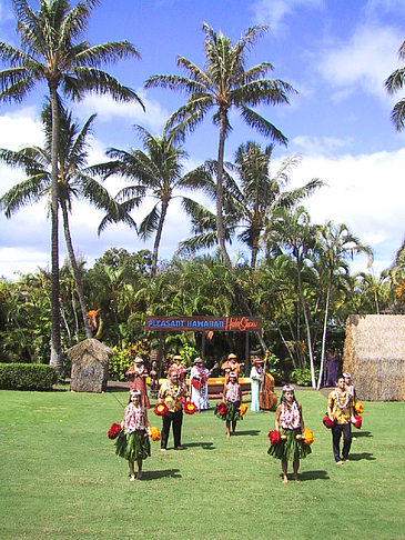 Fotos Hula Show