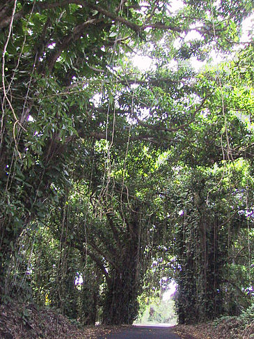 Foto Straßen auf Hawaii