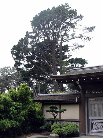 Fotos Golden Gate Park mit Botanischen Garten