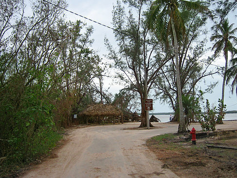 Foto Straßenrand