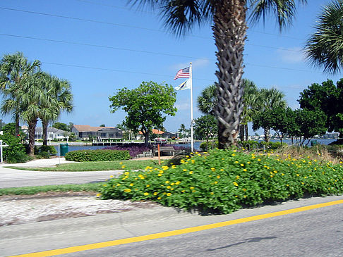 Fotos Straßenrand auf Marco Island