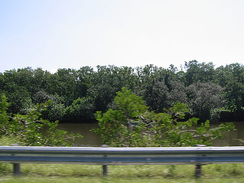 Straßenrand auf Marco Island Fotos