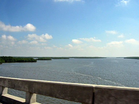 Straßenrand auf Marco Island