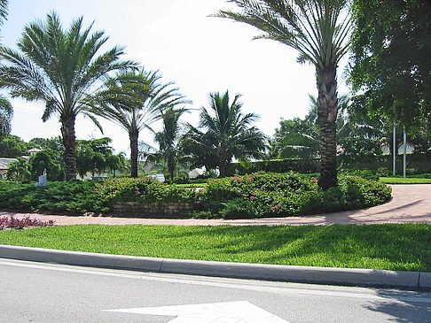 Fotos Straßenrand auf Marco Island