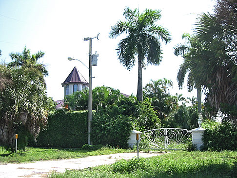 Foto Straßenrand auf Marco Island - Marco Island