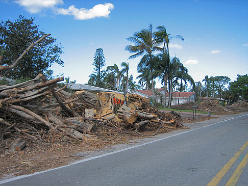 Foto Straßenrand - 