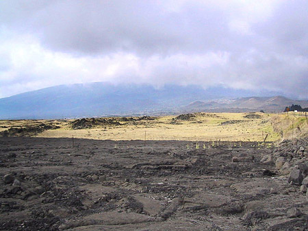 Fotos Erstarrte Lava