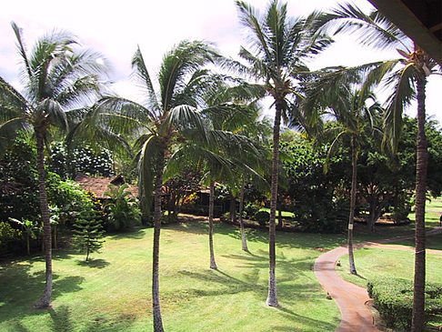 Hotelanlage auf Maui