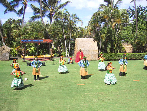 Hula Show Fotos