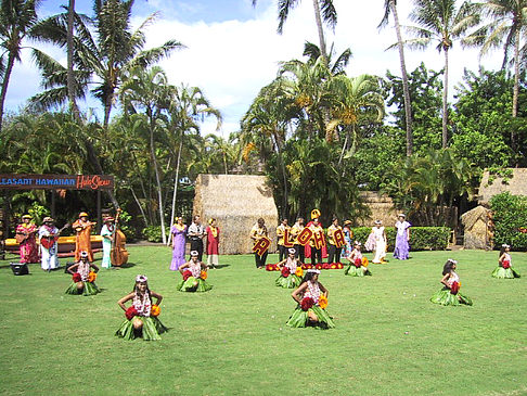 Hula Show