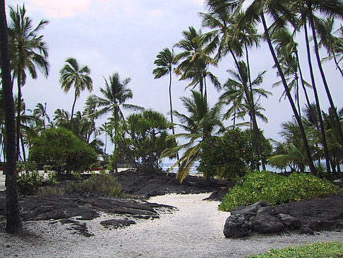 Der Strand von Hawaii Fotos