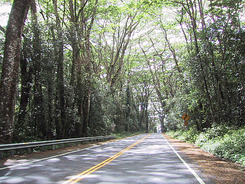 Fotos Straßen auf Hawaii