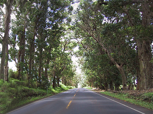 Straßen auf Kauai Fotos