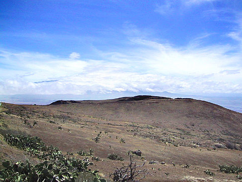 Foto Trockene Landschaft