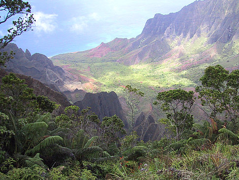 Fotos Waimea Canyon