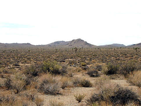 Lone Pine - Panamint Springs Foto 