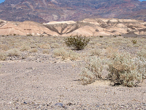 Stovepipe Wells - Ubehebe Crater Fotos