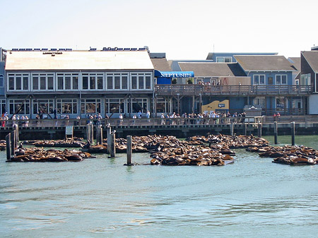 Foto Fishermans Pier 39 bis 45