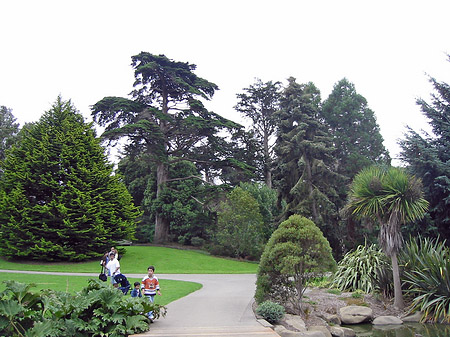 Fotos Golden Gate Park mit Botanischen Garten | San Francisco