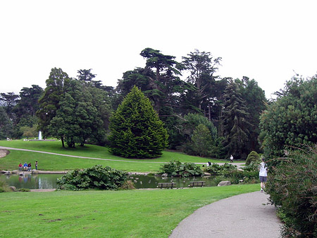 Foto Golden Gate Park mit Botanischen Garten - San Francisco