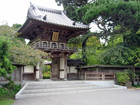 Golden Gate Park mit Botanischen Garten