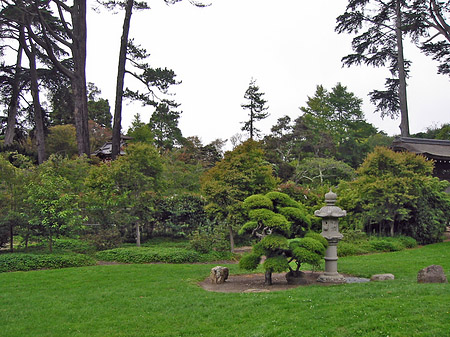 Golden Gate Park mit Botanischen Garten Fotos