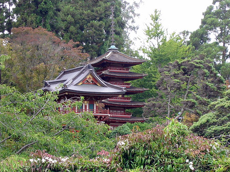 Golden Gate Park mit Botanischen Garten Foto 